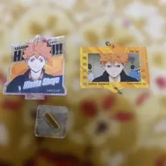 ハイキュー　日向翔陽