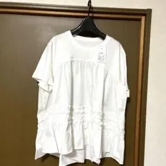 Item thumbnail for item 2f52c684-1d12-4da2-b574-fc02cd717380