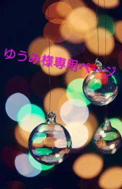 ゆうみ様専用ページ Lee別注ペインターパンツ