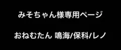 みそちゃん様専用ページ