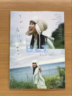 Item thumbnail for item 2b2d89fb-e625-4b62-b6d1-6bb50585bd68