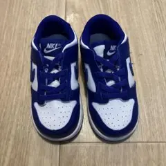 Nike スニーカー 青/白