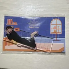 RAYS SnowMan 向井康二 アクリルスタンド