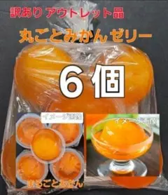 《数量限定》【訳ありアウトレット品】みかんゼリーのサムネイル