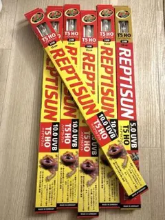 Item thumbnail for item b27fae4f-df0d-4762-9505-30a25b4bbea1