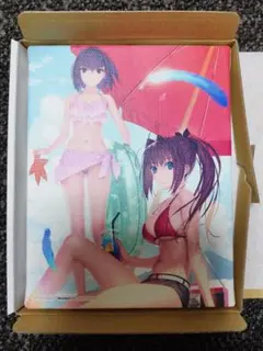 魔法使いの夜 WonderGOO特典 F0キャンパスアート