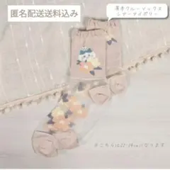 新品 ちいかわ 薄手クルーソックス シアーアイボリー レディース 靴下 春 夏