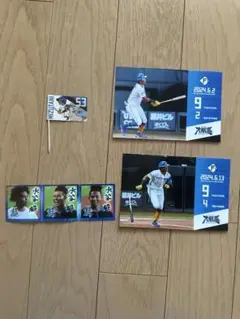 ☆ファイターズ　水谷舜　　フォト＆シール＆フラッグ　セット