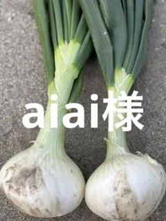 aiai様 専用