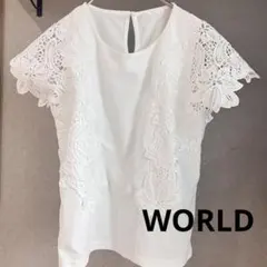 極美品 ワールド/ITS'DEMO イッツデモ 花刺繍 レースブラウス 金ボタンのサムネイル