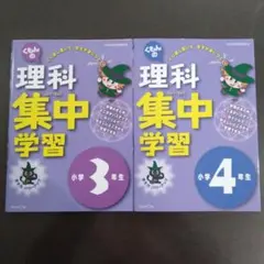 Item thumbnail for item cd85bebc-f20e-4453-9c46-11575cded18a