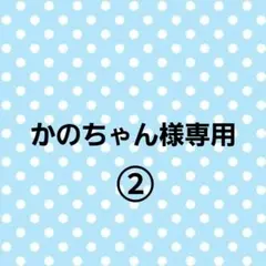 かのちゃん様専用ページ