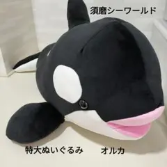 Item thumbnail for item f9cf31d4-1f7f-428c-b0fe-7ba962f9a57e