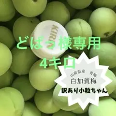 訳あり(9)1.2キロ♡山形県産うめ♡おためしサイズ♡白加賀梅のサムネイル