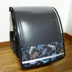 Item thumbnail for item 3297b59f-eefe-48d2-88b4-3e957902f1e9