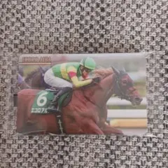 まねき馬倶楽部 エコロアルバ No.2694 競馬カード
