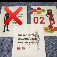 新世紀エヴァンゲリオンクリアファイル２枚セット