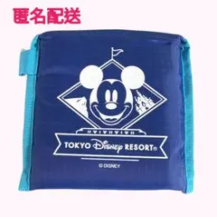 匿名配送　エコバッグ　東京ディズニーリゾート　A4　マチ無し　新品　タグ付きのサムネイル