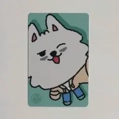 ヨンモン トレカ