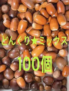 どんぐり★ミックス100個