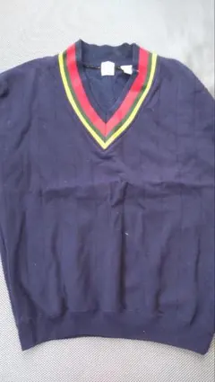 【古着】GAP Vネックセーター M ネイビー