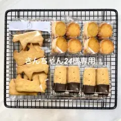 さんちゃん24様専用