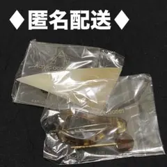 Item thumbnail for item ee93c007-84ab-4635-ad7f-d2c033fd9ee7