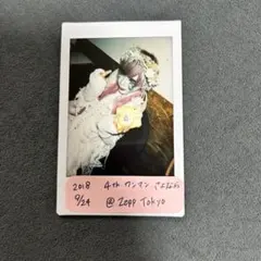 2025年最新】キズ チェキ きょうのすけの人気アイテム - メルカリ