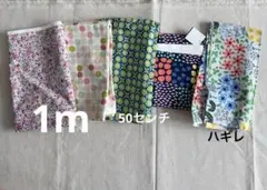 Item thumbnail for item df501538-03e5-4e4c-b78c-42752bc98890