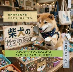 猫のミステリースクープ スタンダード2＋プレミアム2＋ガチャ3 