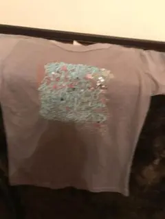 アバクロのグレー地にブルーのスパンコールが綺麗なTシャツ