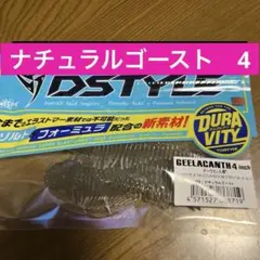 DSTYLE ギーラカンス4㌅ 人気カラー2色セット➀ - メルカリ