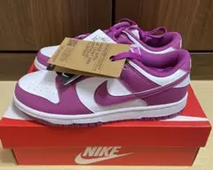 ナイキ Dunk Low Women’s ShoesDD1873-110