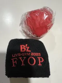 B'z FYOP リストバンド 大阪 ファイナル - メルカリ