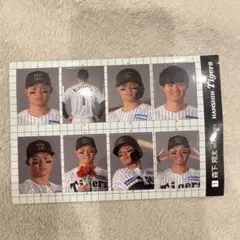 阪神タイガース シークレット 証明写真風ステッカー2025 森下翔太