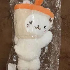 NCTWISH LOGin ソウルコン バブルニャン バッグ ユウシ - メルカリ