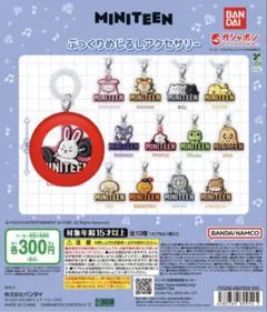 MINITEEN めじるしアクセサリー エスクプス CHOITCHERRY