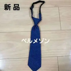 Item thumbnail for item b1686325-e9c5-455e-a8d6-8f15845d4f68