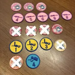 JSS 進級 ワッペン バラ売りOK 1枚100円 JSS 進級 ワッペン バラ売りOK 1枚100円