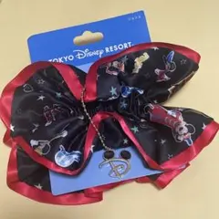 ディズニー　実写　シュシュ　ミッキーマウスのサムネイル