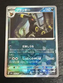 【超美品】早い者勝ち　ブラッキー　マスターボールミラー