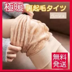 裏起毛 タイツ