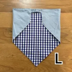 Item thumbnail for item 3a62301c-4b75-4de3-b274-720fb55ea024