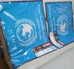 一番くじ ゴジラ 　C賞 　G対策センター ラグマット 2枚セットのサムネイル