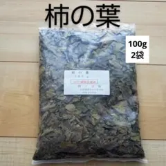【即日発送】ねこ　新物　希少ハバノリ神奈川三浦松輪幻の岩海苔10枚入り 即日発送】【訳あり】新物 希少ハバノリ 神奈川三浦松輪幻の岩海苔 約