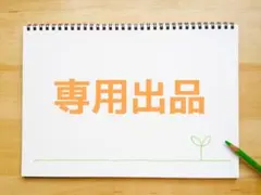 Switch あつまれ どうぶつの森