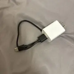 USB-A to USB-C 充電ケーブル 電源アダプターセット