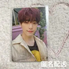 SEVENTEEN セブチ ディノ トレカ 中華 中国 ヨントン 特典