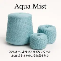 Item thumbnail for item 1deca2fd-844c-445e-bb2c-2e45e3adc0b4