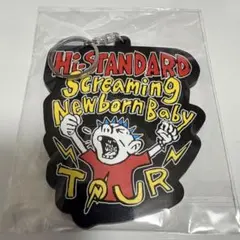 2026年最新】hi-standard キーホルダーの人気アイテム - メルカリ